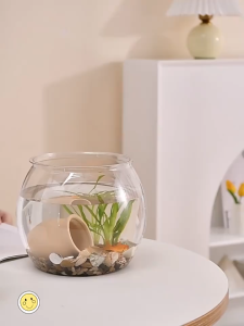PET Transparent Fish Tank Aquarium Plastic Transparent Hot Bending Goldfish Tank