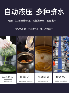 Electric Water Squeezer Juice Extractor Wine Chamfer Food Oil Filter Grape Honey Squeezer Vegetable Stuffing Wringing Machine Commercial Use