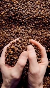 Kopi Bubuk Tubruk Robusta Isi 1 Kg Rasa Mantap