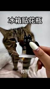 Acrylic Cat Whiskers Storage Container Cute Memorial Keepsake with Wide Opening for Fridge Wall Desk Office Bedroom