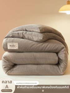 HAOMIAN | Thickened Coral Fleece Milk Velvet Quilt