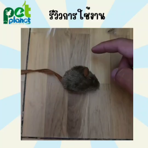 [14cm.] ของเล่นสัตว์เลี้ยง หนูมีเสียง ของเล่นสำหรับ สุนัข และ แมว และสัตว์เลี้ยงอื่นๆ หนูหยอกแมว แกล้งแมว แกล้งสุนัข