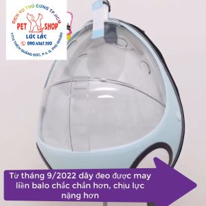 Balo Bọ Dừa - Balo Trong Suốt Cho Chó Mèo - Balo Bọ Rùa Balo vận chuyển cho chó mèo