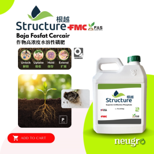 FMC Structure 5L Phosphate Root Fertilizer NPK Fulvic Acid Humic Acid Root Growth Hormone Perangsang Akar Baja Akar