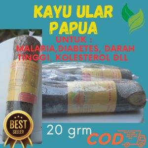 Kayu Ular Papua obat diabetes malaria dll
