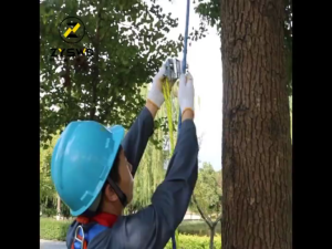 Rope Grab 25kN Arborist Alat Pengaman Rock Climbing Untuk Tali 14-16mm Anti Slip Tahan Lama