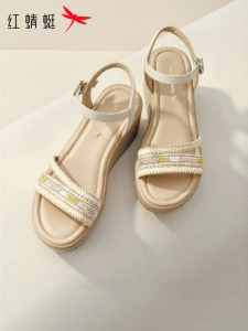 Reddragonfly | Wedge Heel Thick Bottom Straw Sandals
