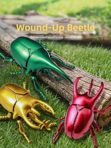 JOYLONG | Realistic Insect Toys Models Educational Entertainment