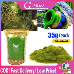 ⭐【LazTop Seller】35g Artificial Green Plants Eternal Life Moss DIY Crafts Grass Garden Home Room Decor Mini Landscape Fake Grass ZJJ-Artificial-Moss