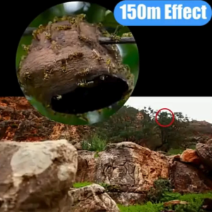 COD CEPAT Teropong Binocular Jarak Jauh Siang Malam Outdoor HD Vision Magnification 80x80 - 8090