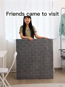 75/100/120CM Metal Foldable Bed Double/Single Bed Frame For Dormitory Rooms Metal