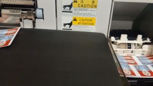 Cetak Foto Kodak & Fujifilm: Kualitas Lab dengan Mesin NORITSU