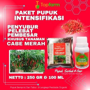 Pupuk Cabe Merah Keriting: Solusi Optimal untuk Pertumbuhan Tanaman