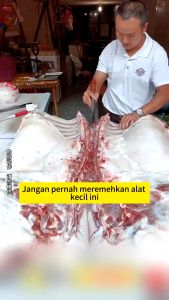 Alat Pengasah Pisau Mini Motif Bebek Asahan Gunting