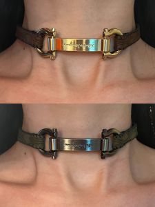 Punk Heavy Industry Y2K Spicy Girl Metal Style Leather Necklace Niche Design Sense Choker Clavicle Chain Fashion Jewelry