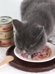 14 Types Cat Wet Food Cat Mousse Pure Natural Organic Wet Canned Food Cat Food Cat treats Pet Snack