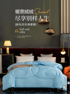 Silk Quilt 100% Genuine Goods Thickened Warm Winter Duvet Insert Double Quilt for Spring and Autumn All Cotton Air-Conditioning Duvet Single Dormitory Quilt