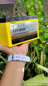 30AH lithium battery with solar rechargeable output stability convenient battery suitable for outdoor agricultural appliances household power supply emergency power supply long battery life real capacity