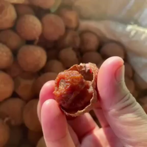 [ Vải Thiều Sấy 2025] VẢI SẤY KHÔ LỤC NGẠN BẮC GIANG LOẠI 1