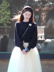CHANGTONG | Gentle Style Knit Top and Mesh Skirt Set Spring