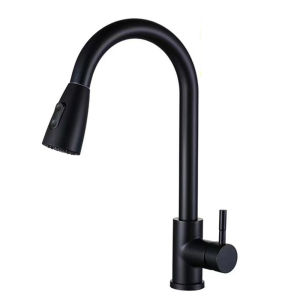 Pull-down Stainless Steel Sink Faucet