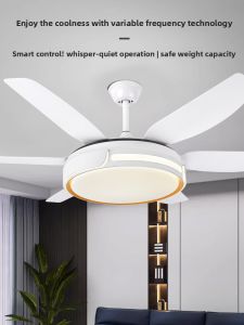 Chigo | Quiet 3D Advanced Ceiling Fan Light