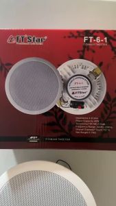 The FTstar 6 Inches 40W Ceiling Speaker: Model FT6-1