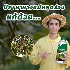 อมิเตอร์เสริมสร้างสรรค์พืช 20 ชนิด, แรปเตอร์ปุ๋ยน้ำ, บำรุงพืช ปลอดภัย ไม่มีเคมี 100% ชุดของ 1