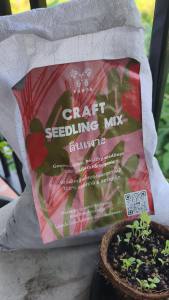 ดินเพาะ 5 กิโล (10 ลิตร) สูตรธรรมชาติ 100% (Organic Seedling Mix) เนื้อละเอียด ระบายน้ำดี สำหรับต้นอ่อน ผัก ไม้ดอก ไม้ผล