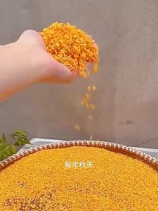 Hoa Cây Oải Hương Khô Dùng Để Nấu Ăn và Pha Trà