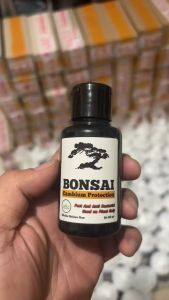 Salep Kambium Bonsai 60ml: Penyubur Tanaman & Pengobatan Pohon
