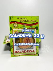 Benih Blewah Baladewa 20 Gram Cap Bunga Matahari