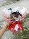 ALMAGIFT BUKET