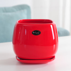 Square Ceramic Flower Pot with Ceramic Tray Large European Style Minimalist Indoor Living Room Balcony Green Radish Homestay Flower Pot