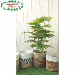 Pohon Hias Imitasi Monstera Jari Philo Orange X18 Semi Latex Cover Seagrass Dekorasi Cafe Hiasan Sudut Ruang