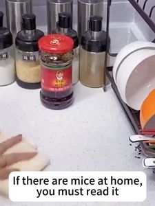 500ML Rat Repellent Spray Ubat Tikus Perangkap Tikus Rat Poison Mouse Repellent 驱鼠剂 Halau Tikus Spray No Harm To People And Pets