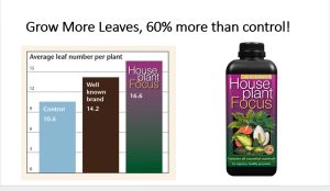 Growth Technology Houseplant Focus 100ml (Plant Nutrient Plant Fertilizer NPK 1.9-0.7-3.3 Foliar Fertilizer Nitrogen Potassium Phosphorus Calcium Magnesium Manganese Zinc Copper Cobalt Iron Molybdenum Humic Acids & Fulvic Acids)