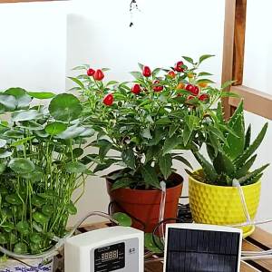 Garden Drip Irrigation Device Double Pump Controller Timer System Solar Energy Intelligent Automatic Watering Device for Plants