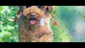 ยาเห็บหมัดหมา อัลตรา กำจัดเหา ไฟฟ้า เครื่องดู ดิฉันอาจ ยาฆ่า ขับ สัตว์เลี้ยง คนกับสัตว์ เติมเต็มเห็บหมัดหมา