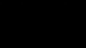 Đệm lót vòm bàn chân Puzeku Arch Support giảm viêm cân gan chân bàn chân phẳng vòm bàn chân sụp chống trượt của Mỹ