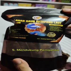 DAUN KETAPANG LAUT KEMASAN SEDANG SUDAH DI OLAH HASIL FERMENTASI BUAT IKAN CUPANG DAN CHANA
