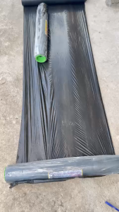 Màng Phủ ( Rộng 70cm - Dài 400m ) Dùng trong trồng cây ươm cây và công trình.