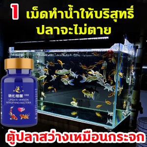 1เม็ดทำน้ำให้บริสุทธิ์ จุลินทรีบ่อปลา ปลาจะไม่ตาย น้ำยาปรับสภาพน้ำ ตู้ปลาสว่างเหมือนกระจก จุลินทรีย์ปรับสภาพน้ำใส จุลินทรีย์น้ำใสบ่อปลา ปรับสภาพน้ำปลา จุลินทรีตู้ปลา แบบเข้มข้น จุลินทรีบ่อปลา เพียวริฟายน้ำ ผงทำความสะอาดตู้ปลา