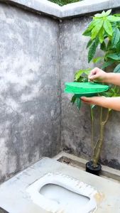 [ TẶNG KÈM MỒI ] Lồng Bẫy Ruồi Thủ Công Thông Minh Mới Nhất