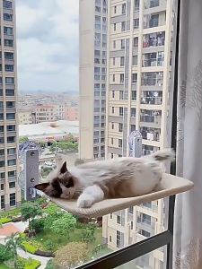 Lovinland Cat Window Perch Cordless Foldable Cat Hammock Bed for Window with Metal Frame and Reversible Cover Large Suction Cups Window Resting Seat for Indoor Cats Machine Washable Seat Cover