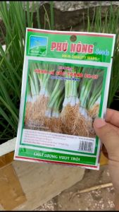 Hạt Giống Hành Lá Phú Nông F1 - Hành Gốc Đỏ/Trắng Dễ Trồng Chất Lượng Cao