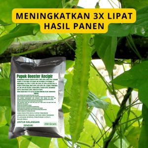 Pupuk Booster Kecipir: Manfaat & Cara Penggunaan