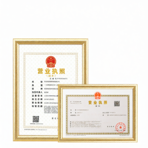 GOLDLOnSEn | Wall Mount License Document Frame