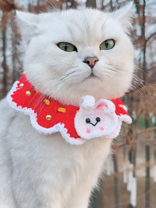 Tang Style Pet Neck Warmer Handmade God of Wealth Knitted Scarf for Dogs & Cats