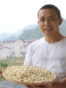 Zhaoliang Peeled White Lotus Seeds Hunan Farmhouse Specialty Coreless Dried Goods from Xiangtan Health Food Supplement